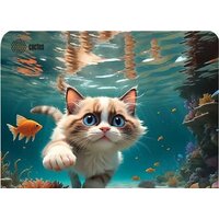 CACTUS Fish Cat CS-MPC-D15M