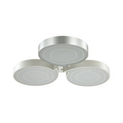 Lumion 3696/60CL фото