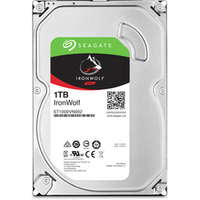 Seagate Ironwolf 1TB