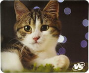 VS Cat 7 фото